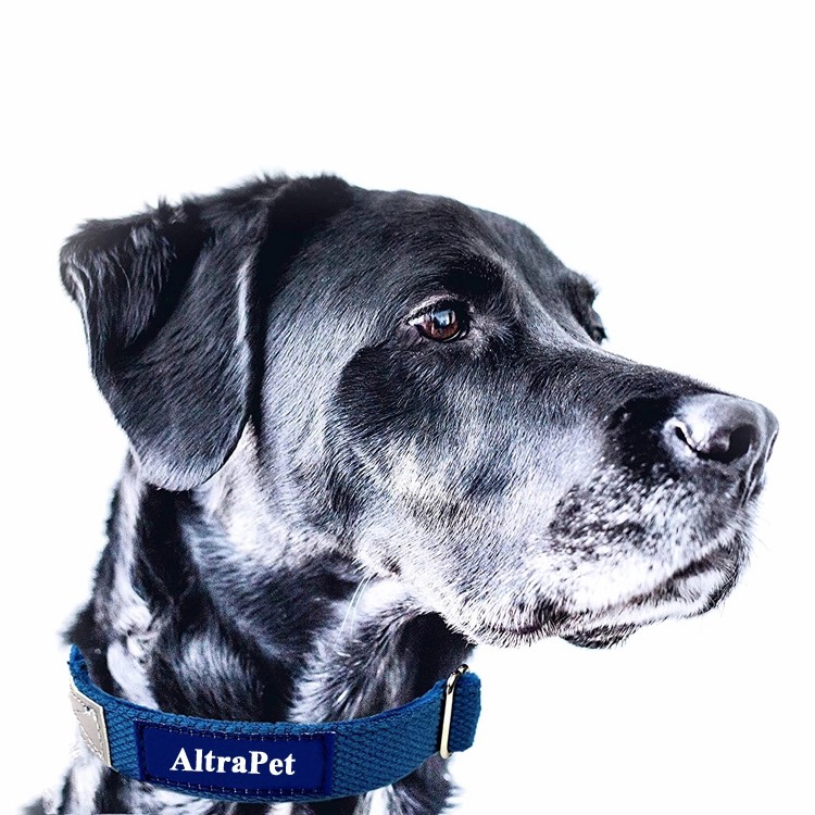 Premium Hemp Dog Collar with Metal Buckle, Pure Double Layer Hemp and