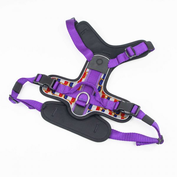 compressed_260122-2胸背-1