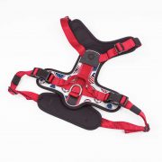 compressed_260122-2胸背-10