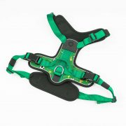 compressed_260122-2胸背-11