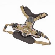 compressed_260122-2胸背-2