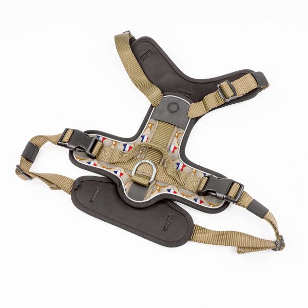 compressed_260122-2胸背-2