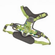 compressed_260122-2胸背-3