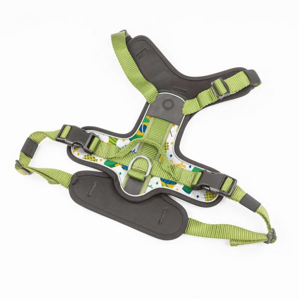 compressed_260122-2胸背-3