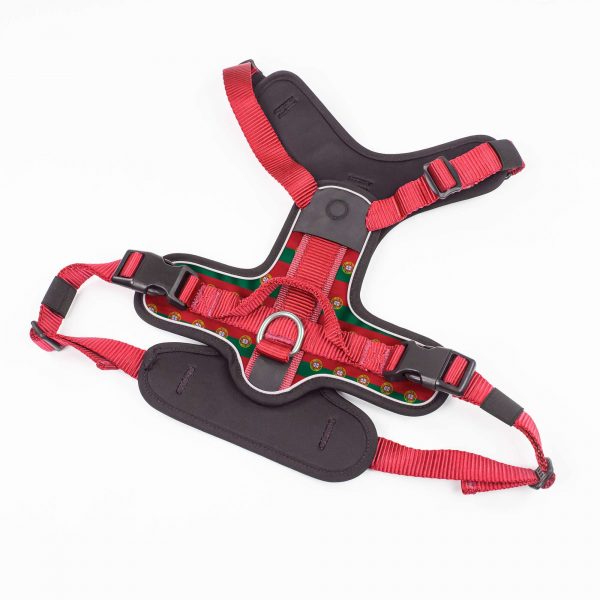 compressed_260122-2胸背-4