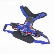 compressed_260122-2胸背-5