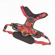 compressed_260122-2胸背-6