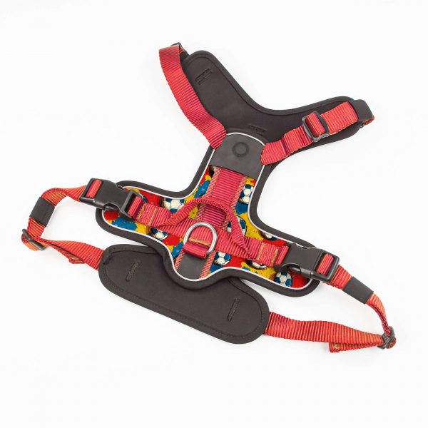 compressed_260122-2胸背-7