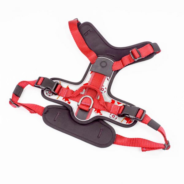 compressed_260122-2胸背-9