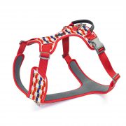 compressed_260122-3胸背-1