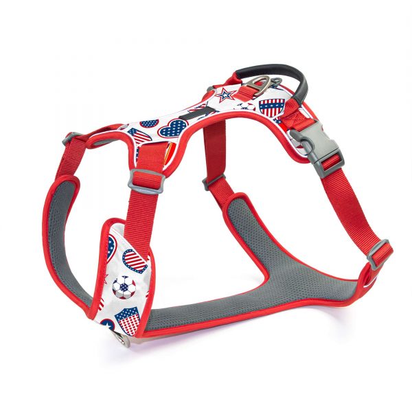 compressed_260122-3胸背-10