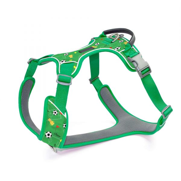 compressed_260122-3胸背-11