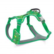 compressed_260122-3胸背-11