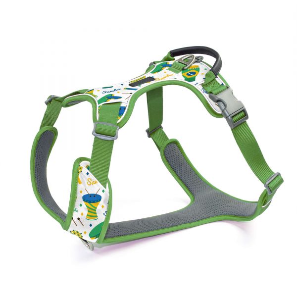 compressed_260122-3胸背-3