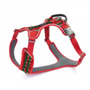 compressed_260122-3胸背-4