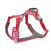 compressed_260122-3胸背-5