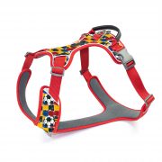 compressed_260122-3胸背-6