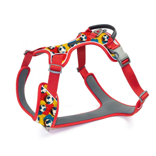 compressed_260122-3胸背-7