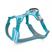 compressed_260122-3胸背-8