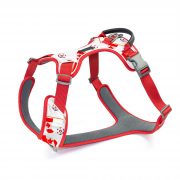 compressed_260122-3胸背-9