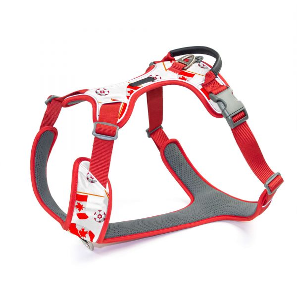 compressed_260122-3胸背-9