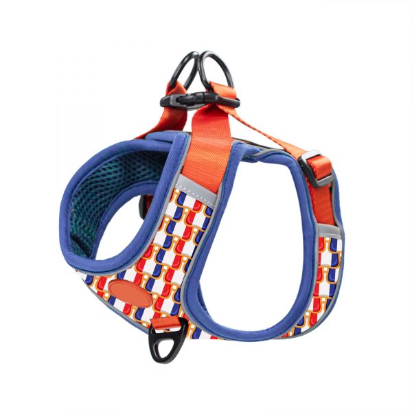 compressed_260122-4胸背-1