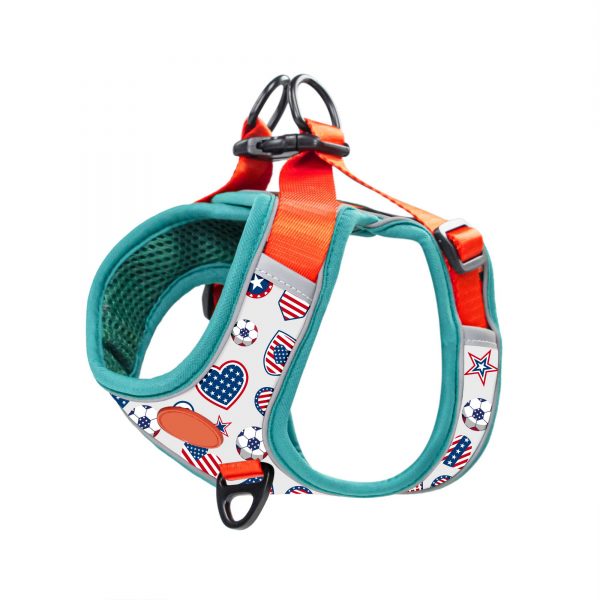 compressed_260122-4胸背-10