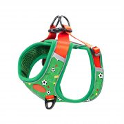 compressed_260122-4胸背-11