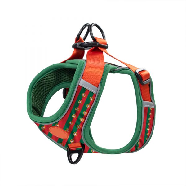 compressed_260122-4胸背-4