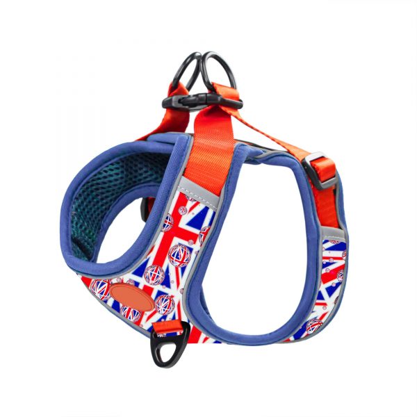 compressed_260122-4胸背-5