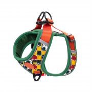 compressed_260122-4胸背-6