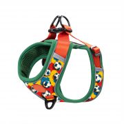 compressed_260122-4胸背-7