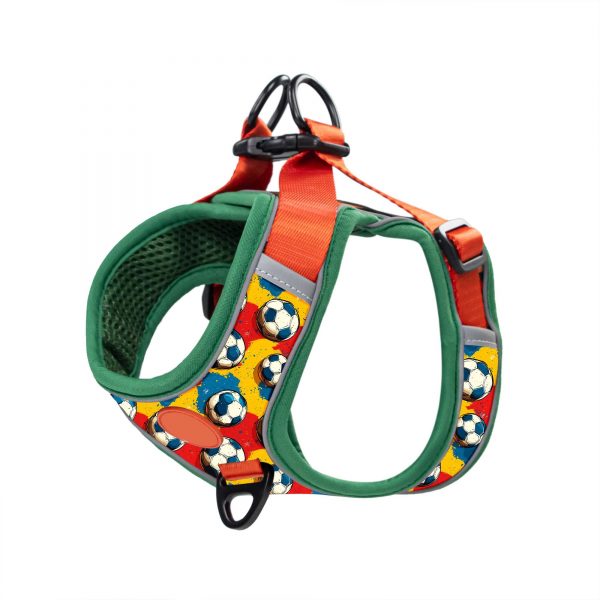 compressed_260122-4胸背-7