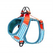 compressed_260122-4胸背-8