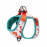 compressed_260122-4胸背-9