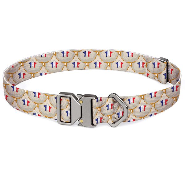 compressed_260122-项圈-2