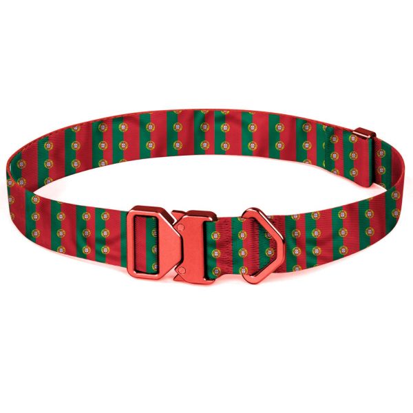 compressed_260122-项圈-4