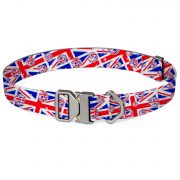 compressed_260122-项圈-5