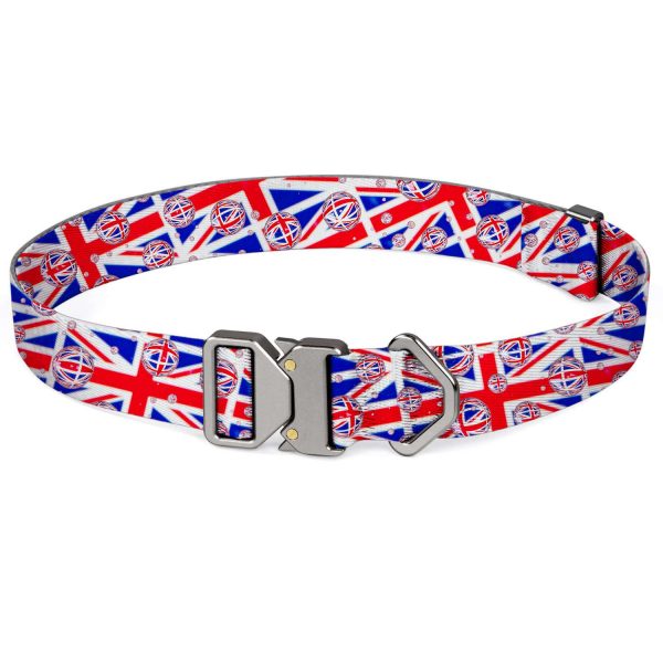 compressed_260122-项圈-5