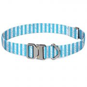 compressed_260122-项圈-8